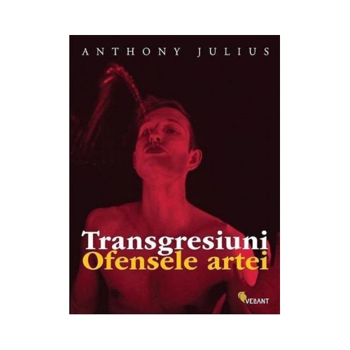 Transgresiuni. Ofensele artei - Anthony Julius