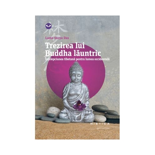 Trezirea lui Buddha launtric - Lama Surya Das