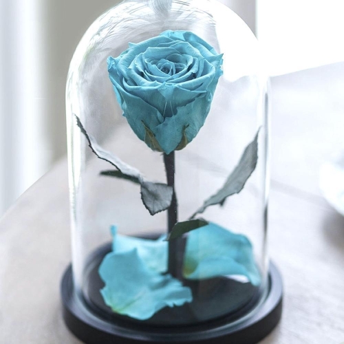 Kdeco Trandafir Criogenat XL Turquoise (Ø=6,5CM) in cupola sticla