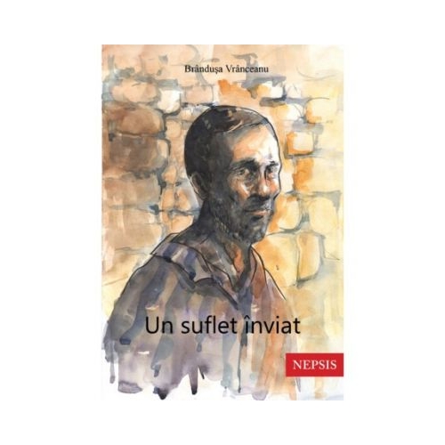 Un suflet inviat - Brandusa Vranceanu