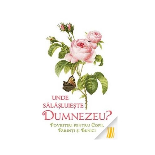 Unde salasluieste Dumnezeu. Povestiri pentru copii, parinti si bunici - Text LS Desartovici, Ilustratii Olga Bersan