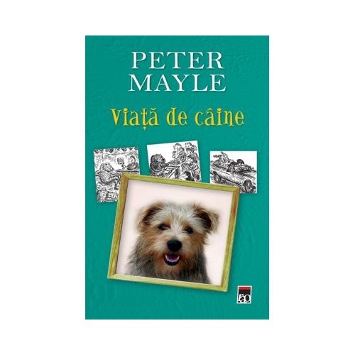 Viata de caine - Peter Mayle