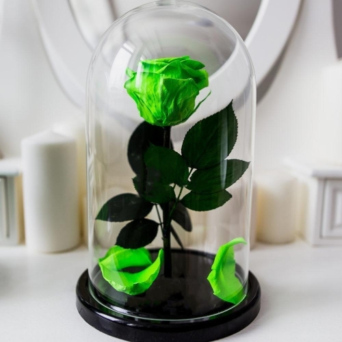 Kdeco  Trandafir Criogenat Verde Deschis XL (Ø=6,5CM) in cupola sticla (12X25CM)