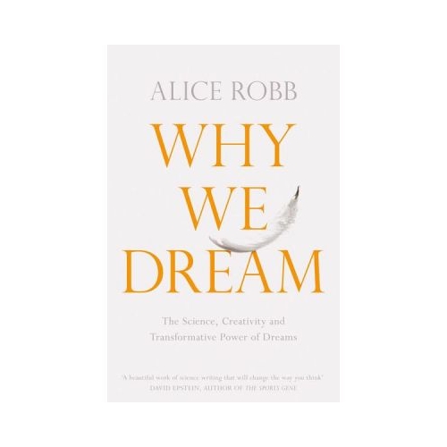 Why We Dream - Alice Robb
