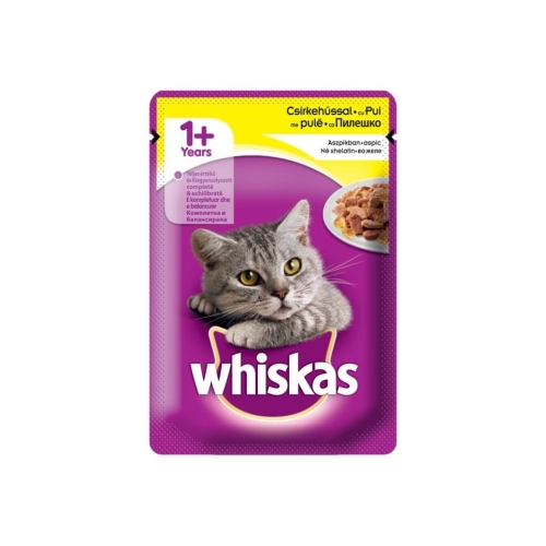 Whiskas 1 + ani pisici cu Pui, 100 gpe grupdzc.ro✅. Descopera gama copleta de produse la oferte speciale✅!