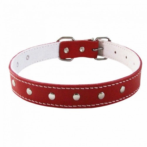 Zgarda 25/530 mm Ornamente Rosie 4Dog