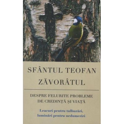 Despre felurite probleme de credinta si viata. Leacuri pentru tulburari, luminari pentru nedumeriri - sf. Teofan Zavoratul