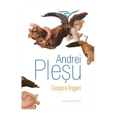 Despre ingeri - Andrei Plesu