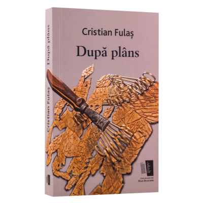 Dupa Plans - Cristi Fulas