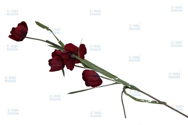 FLORI FIR E01-79