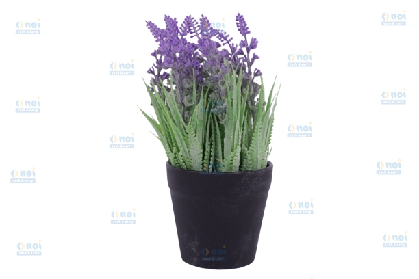 FLORI IN GHIVECI E01-55