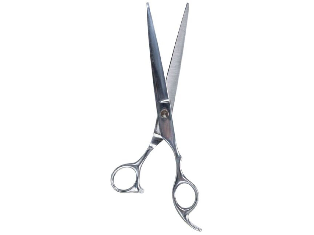 Trixie Foarfeca Profesionala pentru Tuns, 20 cm, 23690