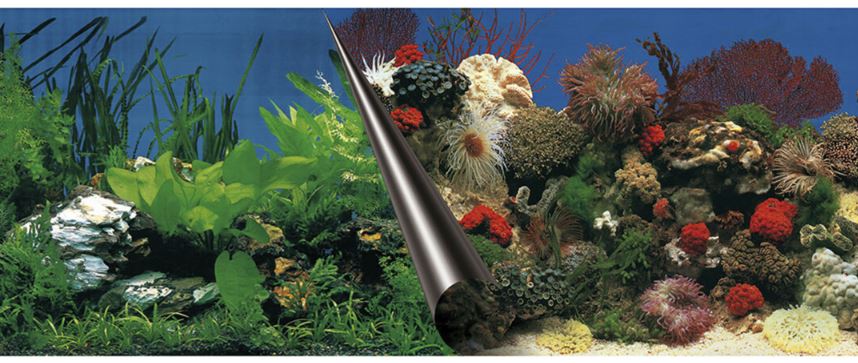 Fundal Dublu Pentru Acvariu, Piatra Si Coral, 60x30 cm 241/108833