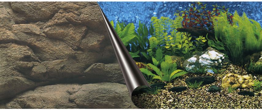 Fundal Dublu Pentru Acvariu, Mare Si Stanca, 60x30 cm 241/108758