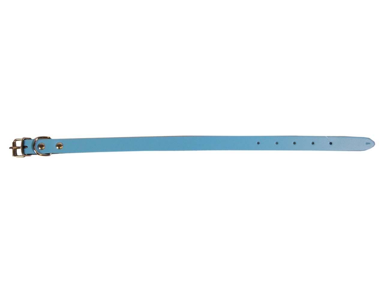 Exotic-K Zgarda L1 1.6/40 cm Simplu Albastru