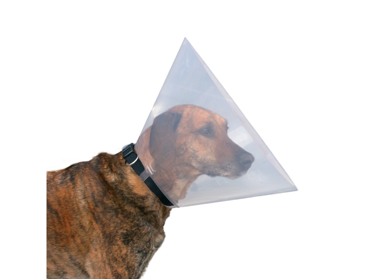 Trixie Guler Protector, Plastic, S: 28-33 cm/12 cm, Transparent, 19482