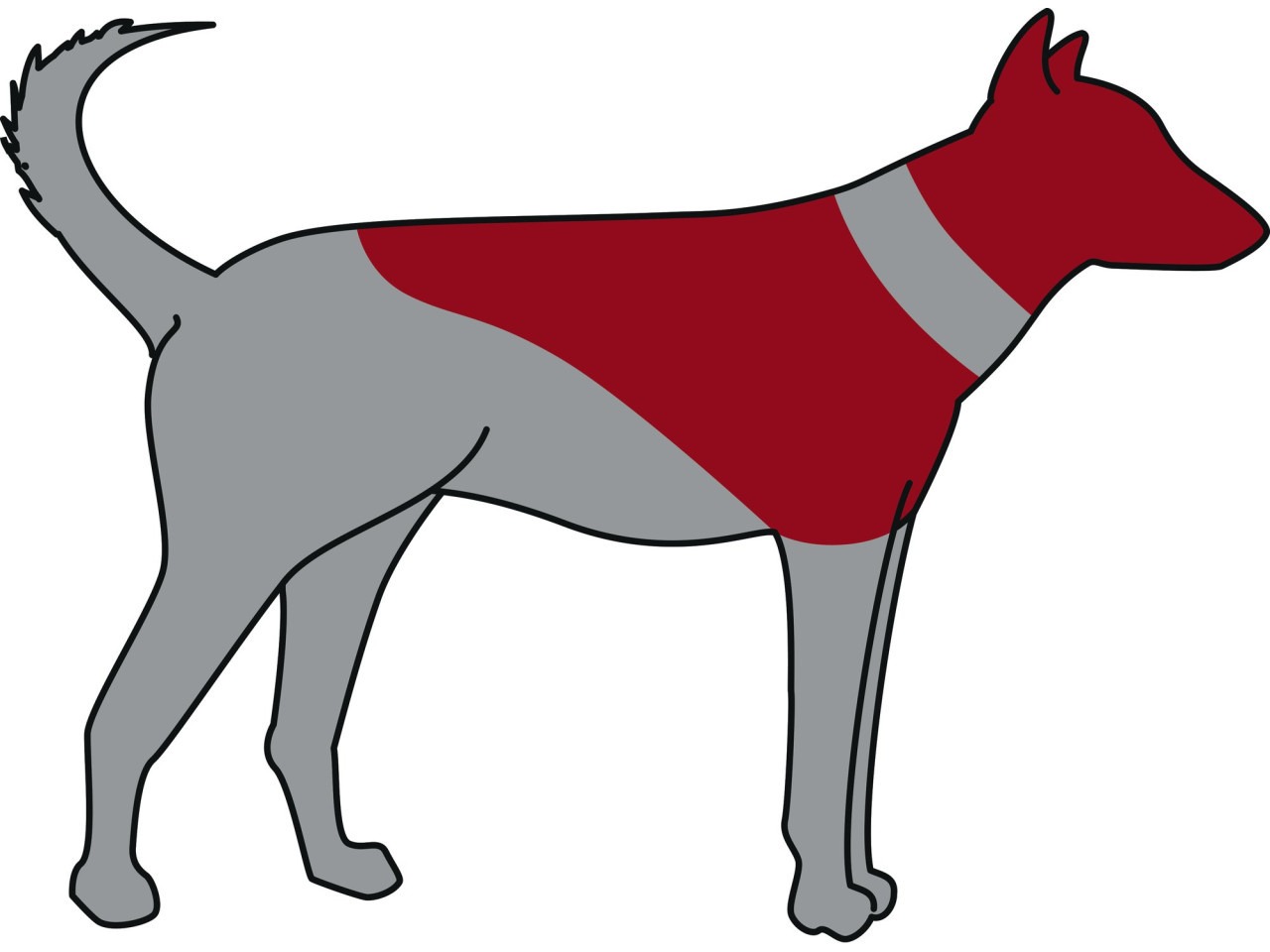 Trixie Guler Protector, Gonflabil, XXS: 14-18 cm/6.5 cm, Albastru, 19540