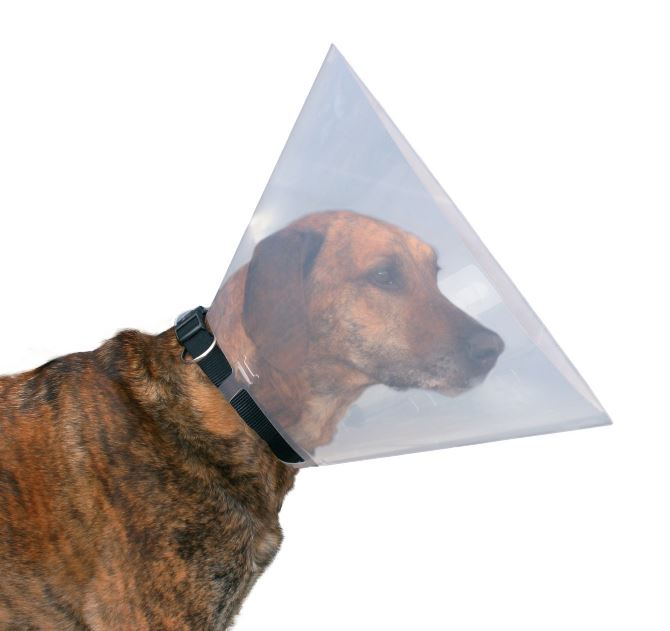 Guler Protector, Plastic, XS-S: 22-25 cm/10 cm, Transparent, 19481