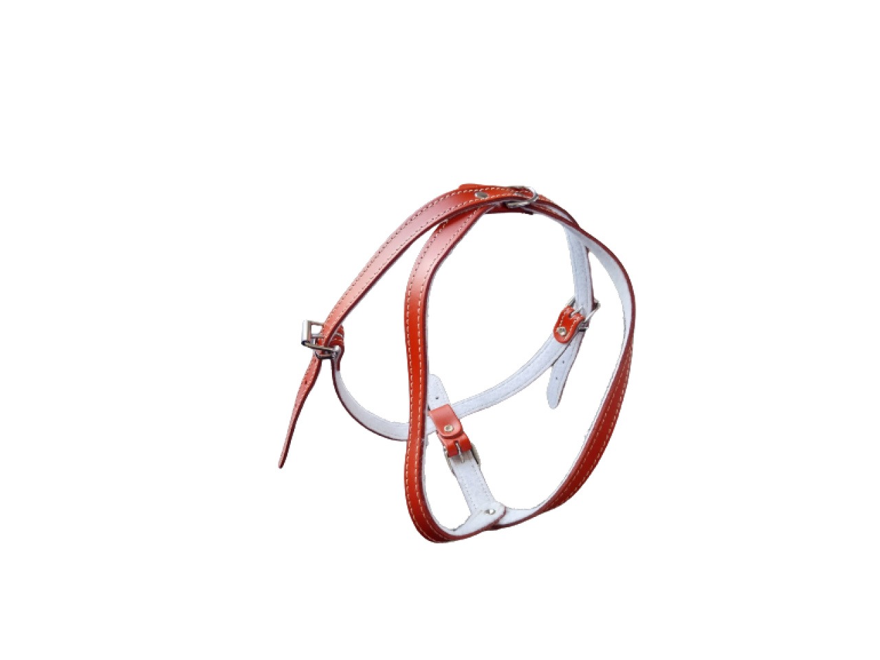 Exotic-K Ham L4 Piele Captusit 66-83 cm/20 mm Rosu