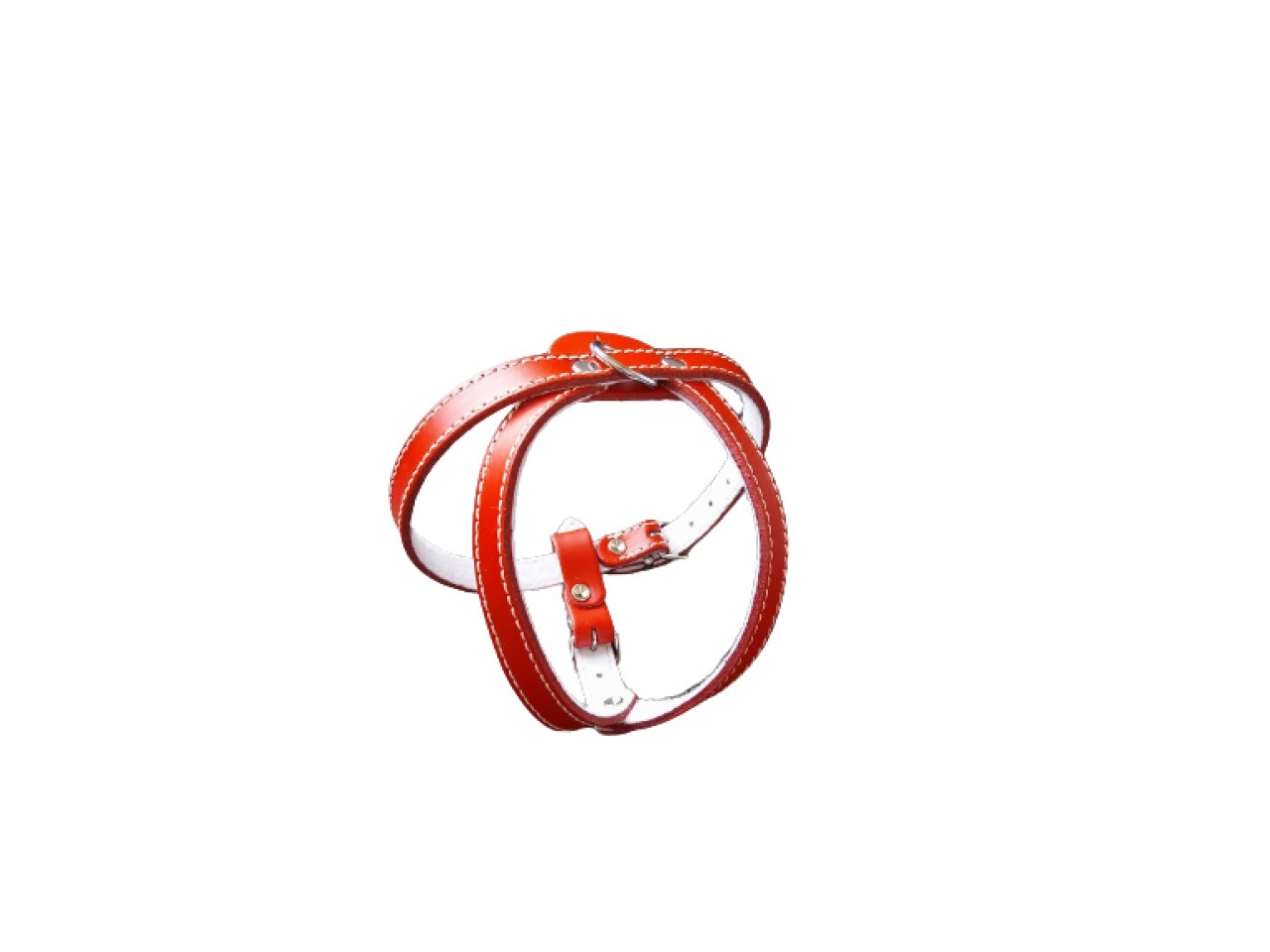 Exotic-K Ham L2 Piele Captusit 53-59 cm/16 mm Rosu