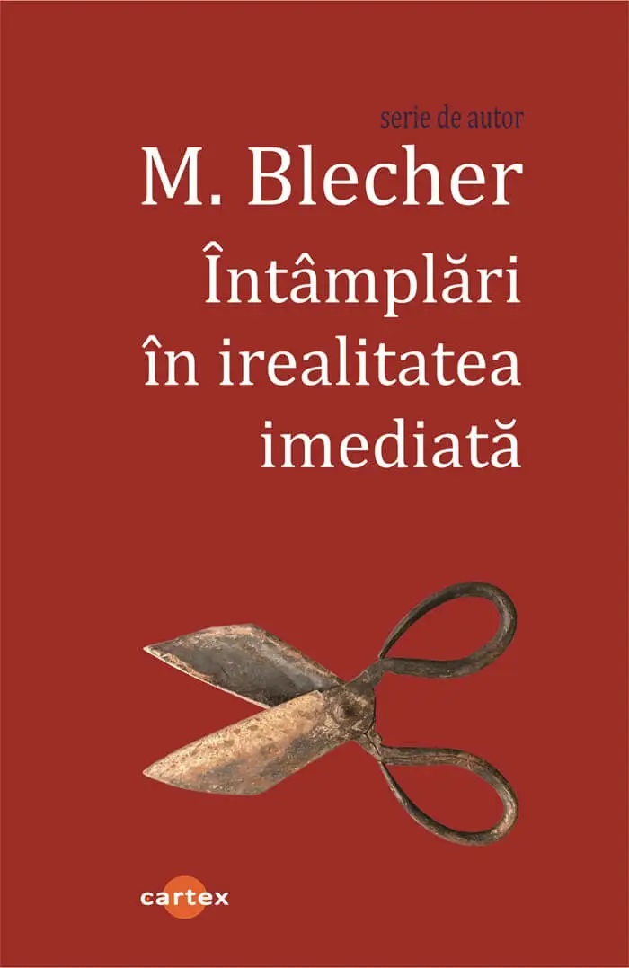 Intamplari in irealitatea imediata - Max Blecher