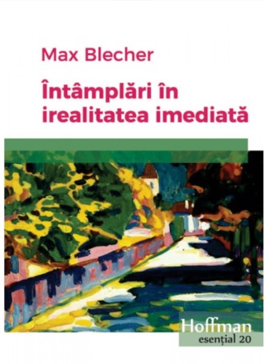 Intamplari in irealitatea imediata - Max Blecher
