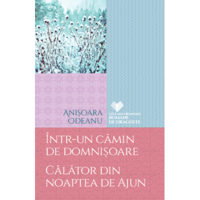 Intr-un camin de domnisoare. Calator din noaptea de Ajun - Anisoara Odeanu