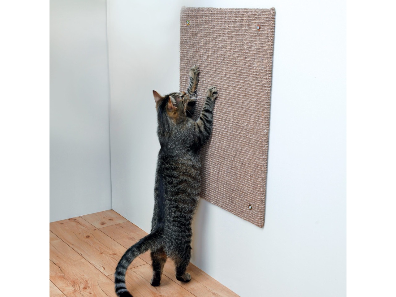 Trixie Placa De Zgariat XXL Pentru Montare Pe Perete, 50x70 cm, Taupe, 43166