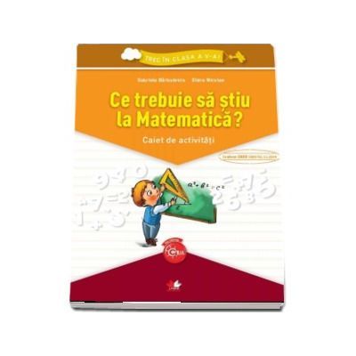 Ce trebuie sa stiu la Matematica? Caiet de activitati, Gabriela Barbulescu