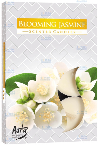 LUMANARE PASTILA P15-169 IASOMIE INFLORITA 6 BUC/SET