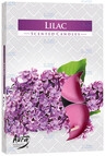LUMANARE PASTILA P15-38 LILIAC 6 BUC/SET