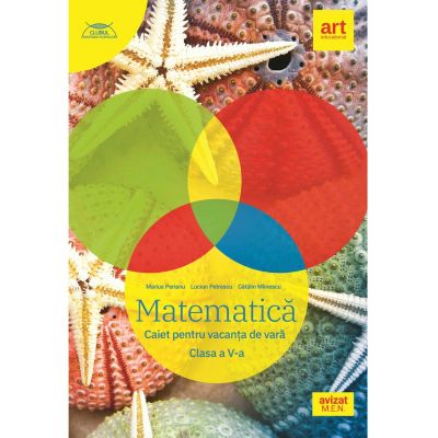 Matematica. Caiet pentru vacanta de vara. Clasa a V-a - Marius Perianu, Lucian Petrescu, Catalin Miinescu editura Art Grup Educational