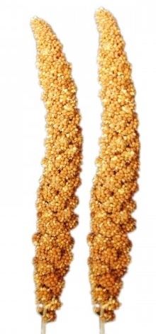 Mei Chinezesc Blister (2 buc/Set)