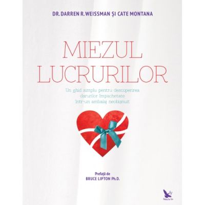 Miezul lucrurilor. Un ghid simplu pentru descoperirea darurilor impachetate intr-un ambalaj neobisnuit - Darren Weissman