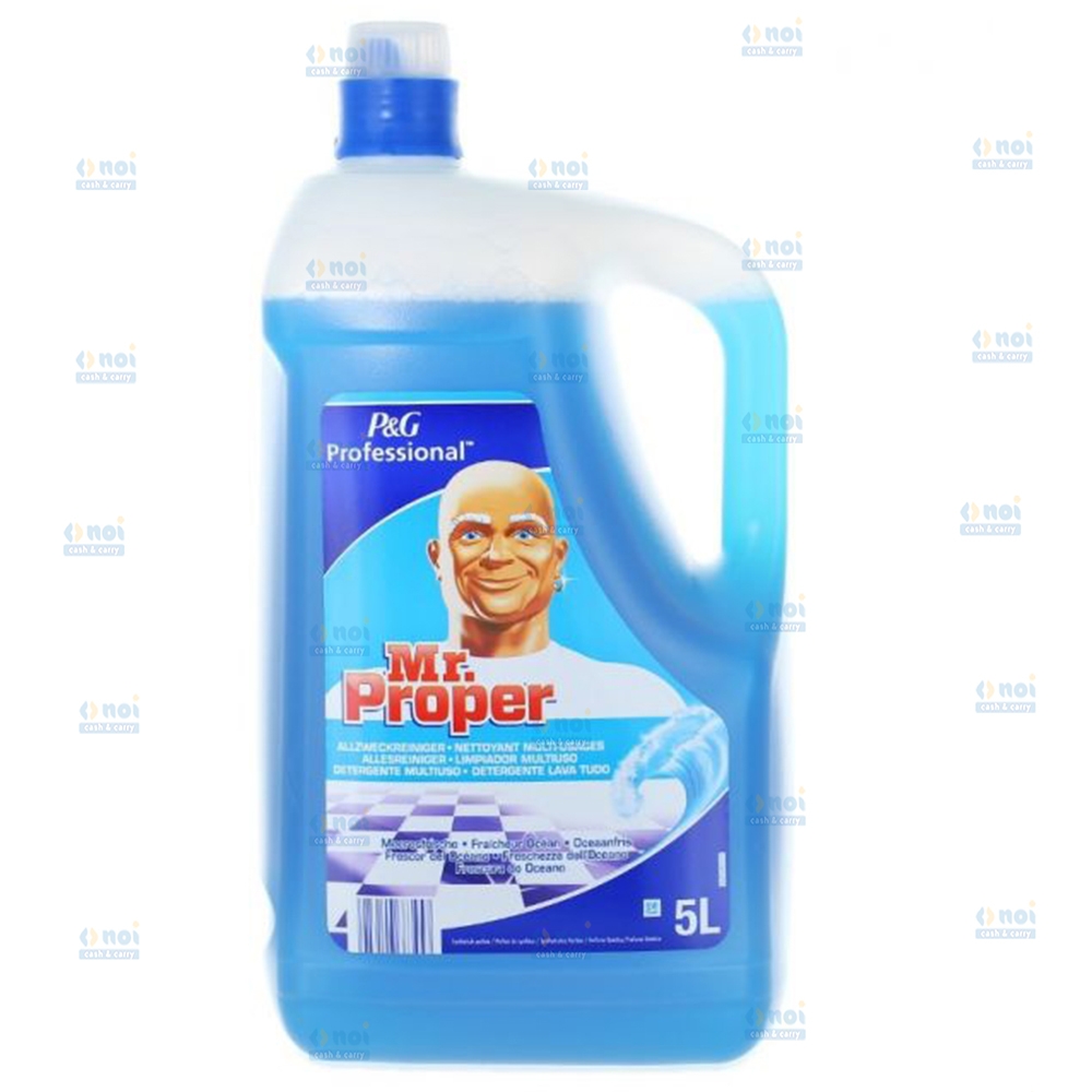 MR PROPER PROFESSIONAL SOLUTIE PARDOSELI OCEAN 5L