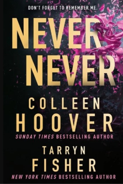 Never never. Nu uita sa-ti aduci aminte de mine - Colleen Hoover Tarryn Fisher