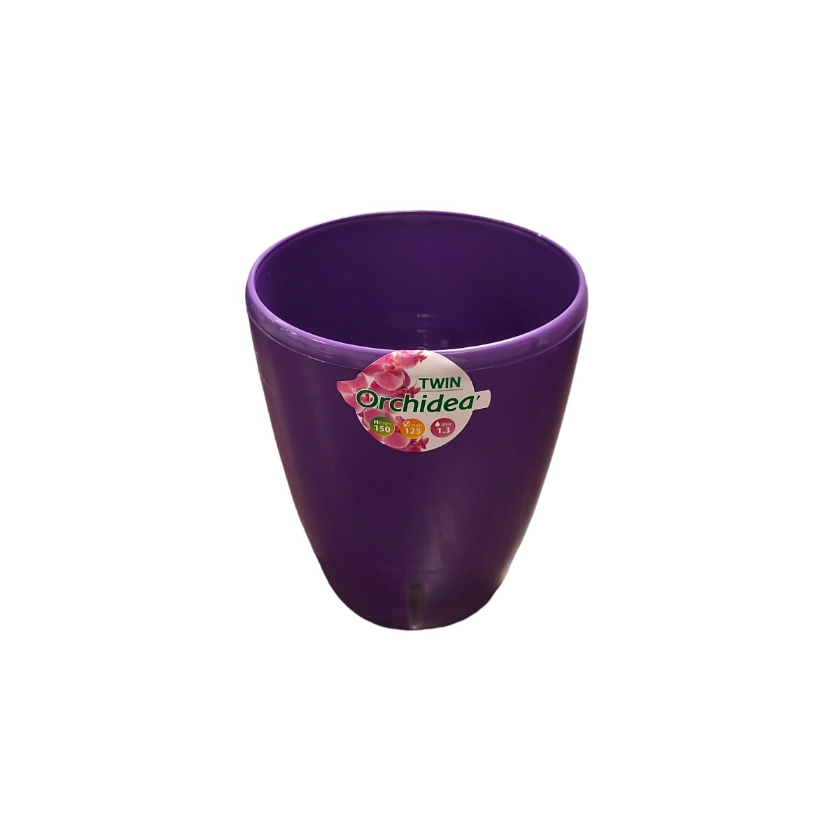 ORCHIDEA TWIN GHIVECI VIOLET 1.3L