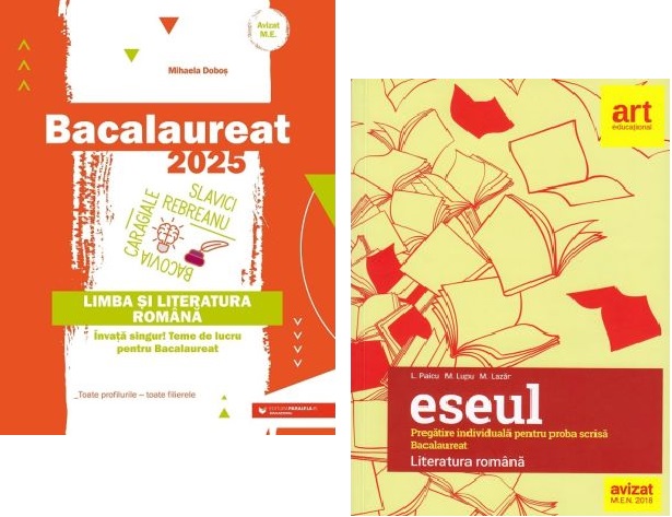 Bacalaureat 2025 Limba si literatura romana si Eseul. Pregatire individuala pentru proba scrisa - Liliana Paicu Mihaela Dobos