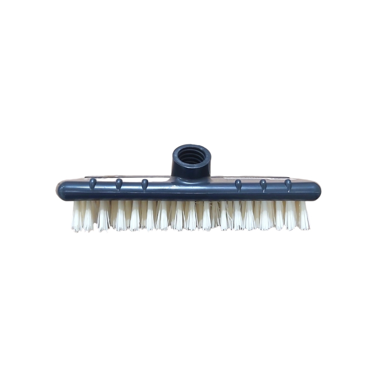 PERIE DENTATO 141203