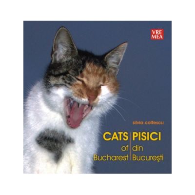 Pisici din Bucuresti - Silvia Colfescu