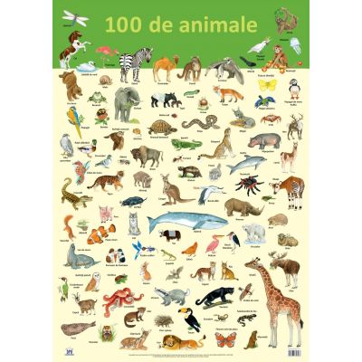 Plansa. 100 de animale - Nelson Verlag