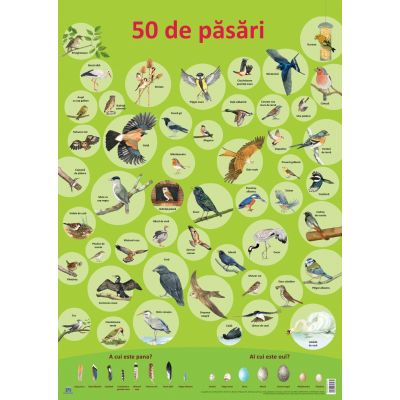 Plansa. 50 de pasari - Nelson Verlag