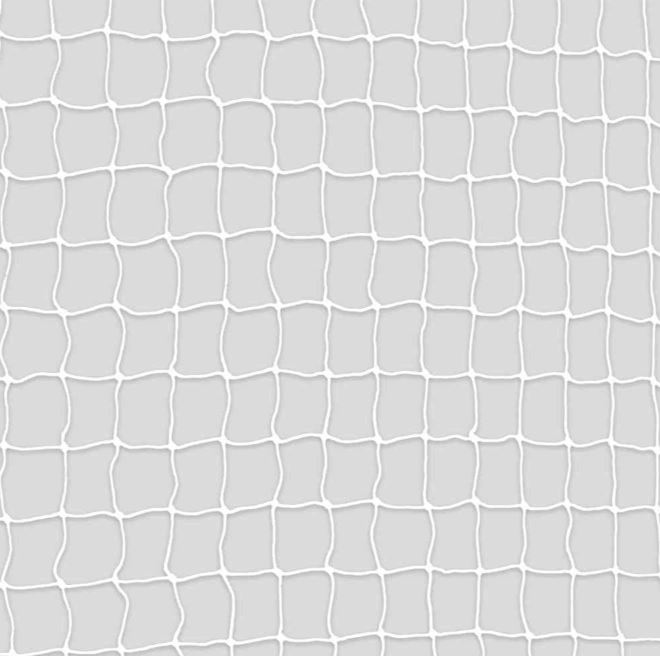 Plasa De Siguranta Pentru Geam, 3x2 m, Transparent, 44313