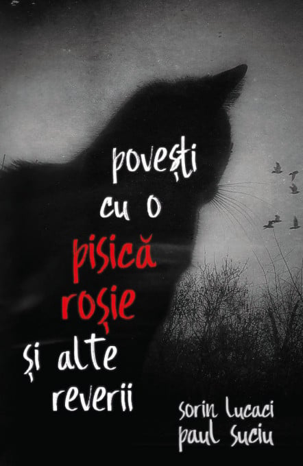 Povesti cu o pisica rosie si alte reverii - Sorin Lucaci, Paul Suciu