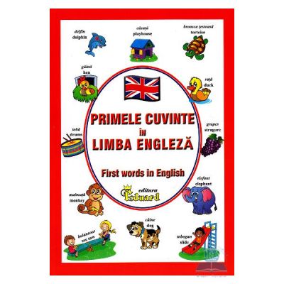 Primele cuvinte in Limba Engleza. First words in English