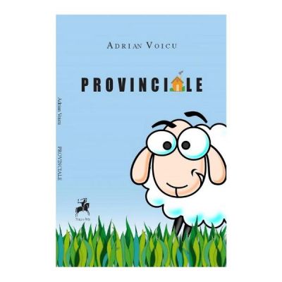 Provinciale - Adrian Voicu