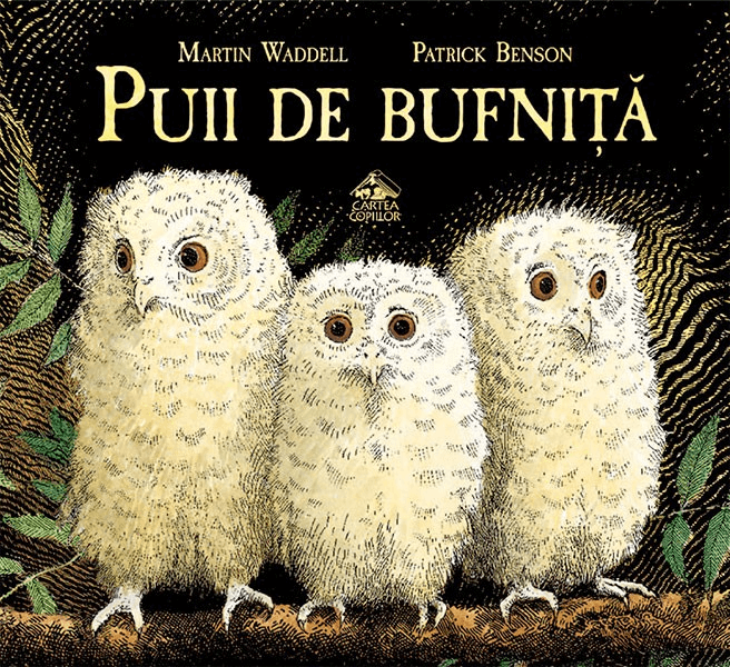 Puii de bufnita - Martin Waddell, Patrick Benson