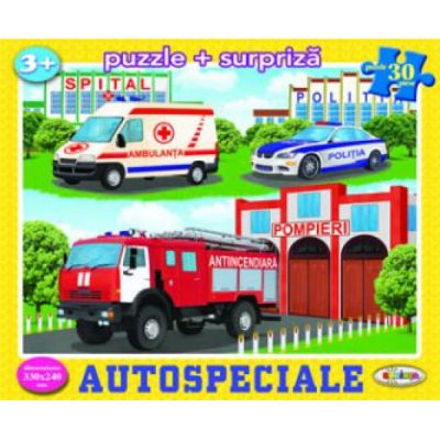 Puzzle Autospeciale