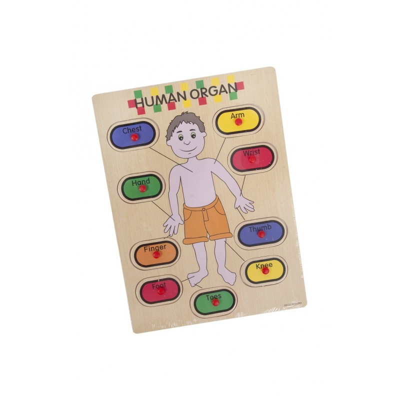 Puzzle lemn educativ - Invata corpul uman, 9 piese, 3+ ani, Colorarte, 2KB