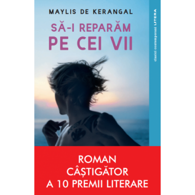 Sa-i reparam pe cei vii - Maylis de Kerangal